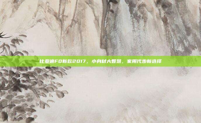 比亚迪F0新款2017，小身材大智慧，家用代步新选择