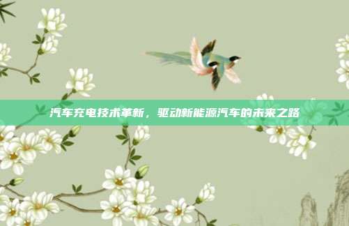 汽车充电技术革新，驱动新能源汽车的未来之路