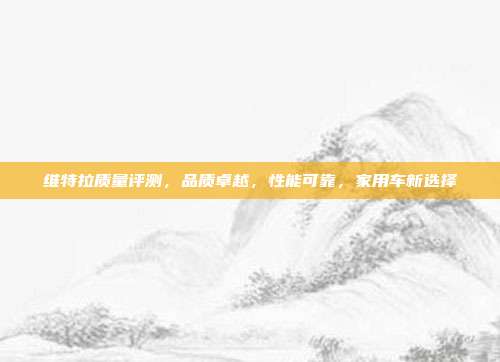 维特拉质量评测，品质卓越，性能可靠，家用车新选择