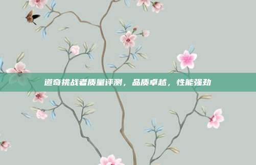 道奇挑战者质量评测，品质卓越，性能强劲