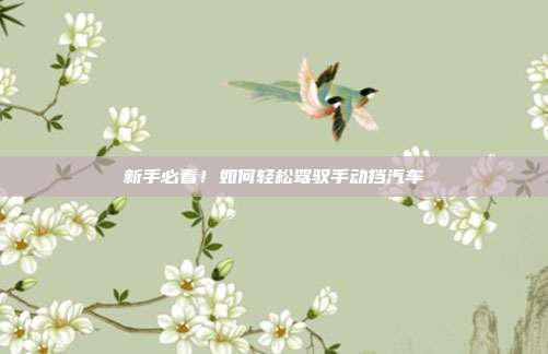 新手必看！如何轻松驾驭手动挡汽车
