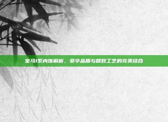 宝马1系内饰解析，豪华品质与精致工艺的完美结合