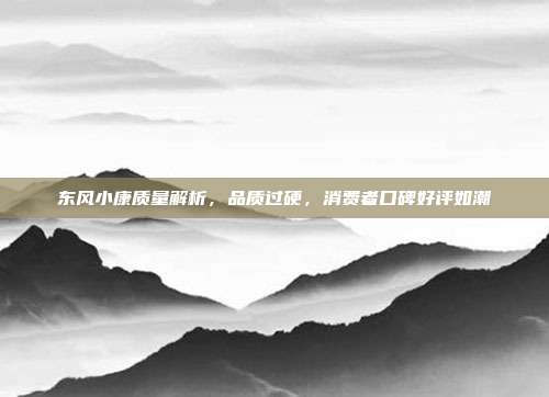 东风小康质量解析，品质过硬，消费者口碑好评如潮