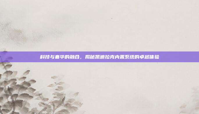 科技与奢华的融合，揭秘凯迪拉克内置系统的卓越体验