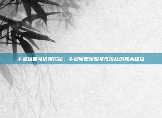手动挡宝马价格揭秘，手动驾驶乐趣与性价比的完美结合
