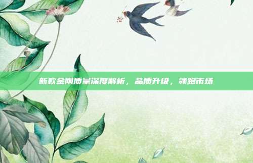 新款金刚质量深度解析，品质升级，领跑市场