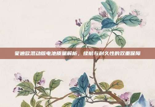 蒙迪欧混动版电池质量解析，续航与耐久性的双重保障