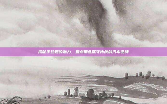 揭秘手动挡的魅力，盘点那些坚守传统的汽车品牌