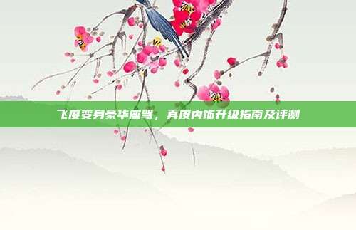 飞度变身豪华座驾，真皮内饰升级指南及评测
