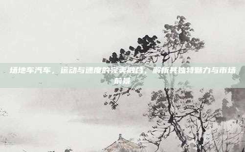 场地车汽车，运动与速度的完美融合，解析其独特魅力与市场前景