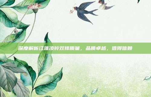 深度解析江淮凌铃双排质量，品质卓越，值得信赖