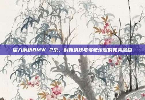 深入解析BMW 2系，创新科技与驾驶乐趣的完美融合