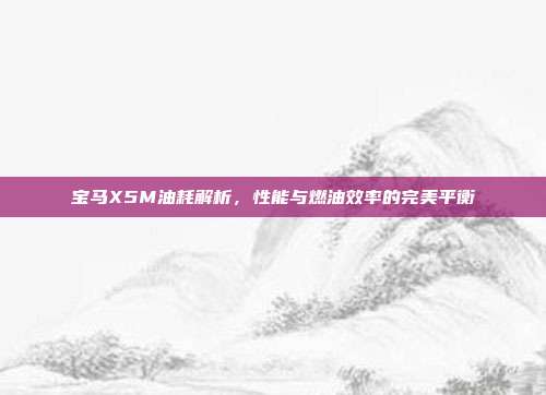 宝马X5M油耗解析，性能与燃油效率的完美平衡