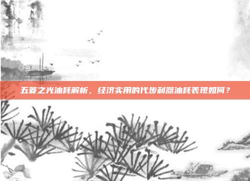 五菱之光油耗解析，经济实用的代步利器油耗表现如何？