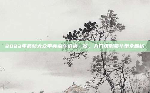 2023年最新大众甲壳虫车价格一览，入门级到豪华型全解析