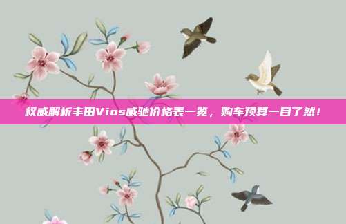 权威解析丰田Vios威驰价格表一览，购车预算一目了然！