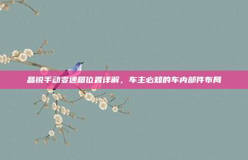 晶锐手动变速箱位置详解，车主必知的车内部件布局