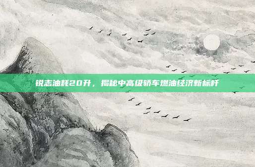 锐志油耗20升，揭秘中高级轿车燃油经济新标杆