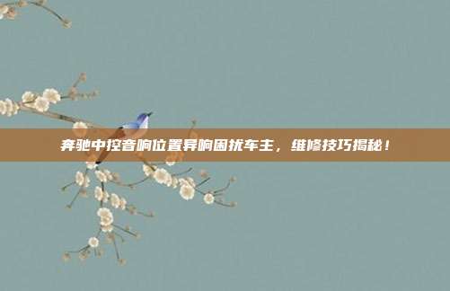 奔驰中控音响位置异响困扰车主，维修技巧揭秘！