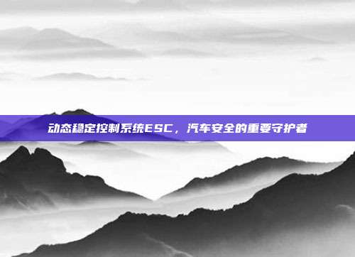 动态稳定控制系统ESC，汽车安全的重要守护者