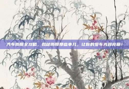 汽车撕膜全攻略，揭秘撕膜那些事儿，让你的爱车光鲜亮丽！