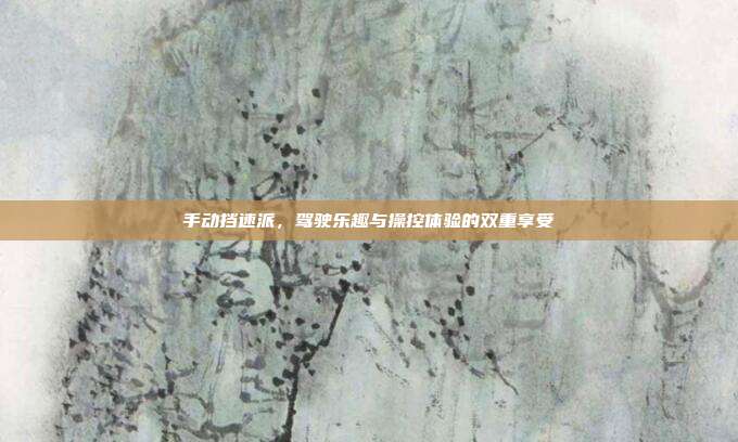 手动挡速派，驾驶乐趣与操控体验的双重享受