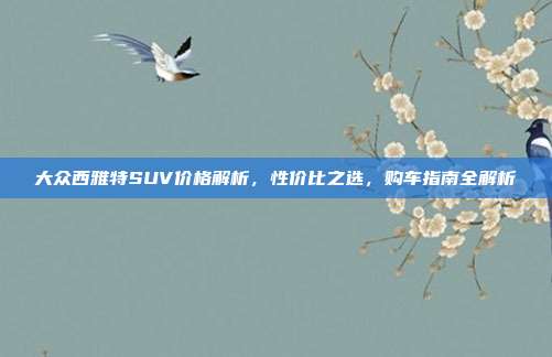 大众西雅特SUV价格解析，性价比之选，购车指南全解析
