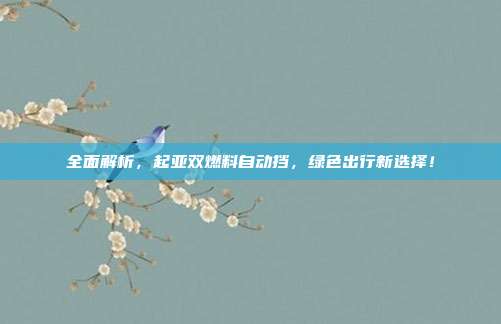 全面解析，起亚双燃料自动挡，绿色出行新选择！