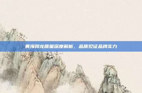 黄海翱龙质量深度解析，品质见证品牌实力