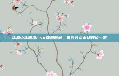 华晨中华骏捷FSV质量解析，可靠性与市场评价一览