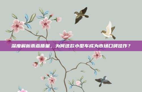深度解析雨燕质量，为何这款小型车成为市场口碑佳作？
