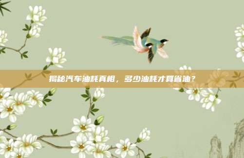 揭秘汽车油耗真相，多少油耗才算省油？