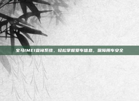 宝马IMEI查询系统，轻松掌握爱车信息，保障用车安全