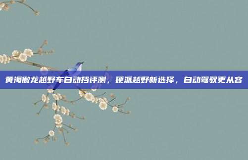 黄海傲龙越野车自动挡评测，硬派越野新选择，自动驾驭更从容
