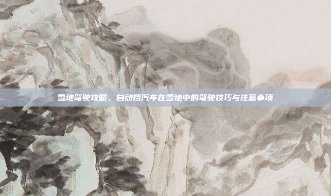 雪地驾驶攻略，自动挡汽车在雪地中的驾驶技巧与注意事项