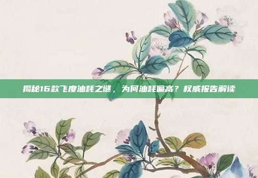 揭秘16款飞度油耗之谜，为何油耗偏高？权威报告解读