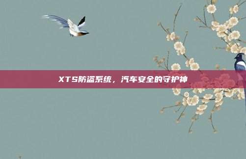 XTS防盗系统，汽车安全的守护神