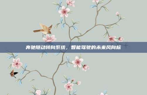 奔驰随动转向系统，智能驾驶的未来风向标
