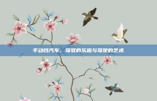 手动挡汽车，驾驭的乐趣与驾驶的艺术