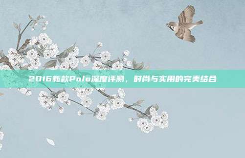 2016新款Polo深度评测，时尚与实用的完美结合