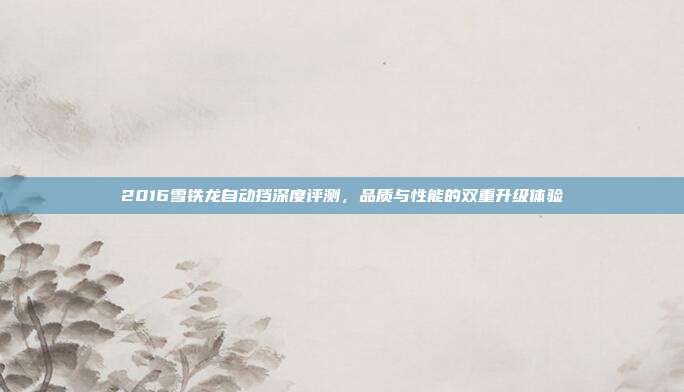 2016雪铁龙自动挡深度评测，品质与性能的双重升级体验