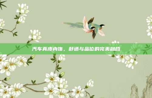 汽车真皮内饰，舒适与品位的完美融合