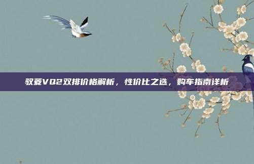 驭菱VQ2双排价格解析，性价比之选，购车指南详析