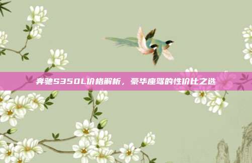 奔驰S350L价格解析，豪华座驾的性价比之选