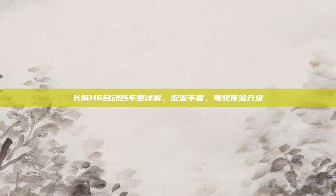 长城H6自动挡车型详解，配置丰富，驾驶体验升级