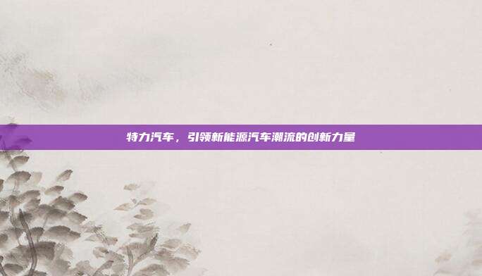 特力汽车，引领新能源汽车潮流的创新力量