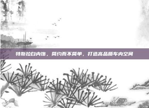 特斯拉白内饰，简约而不简单，打造高品质车内空间