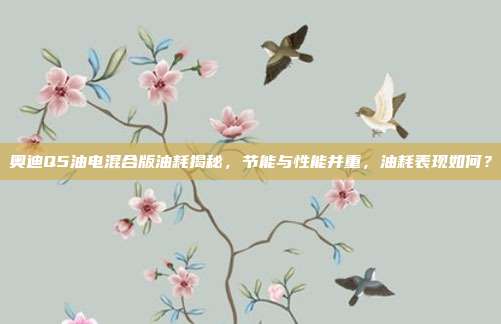 奥迪Q5油电混合版油耗揭秘，节能与性能并重，油耗表现如何？