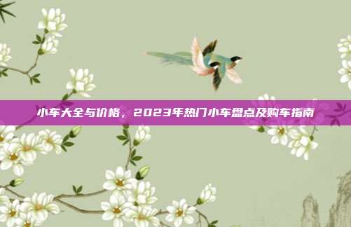 小车大全与价格，2023年热门小车盘点及购车指南
