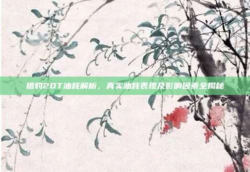 猎豹20T油耗解析，真实油耗表现及影响因素全揭秘
